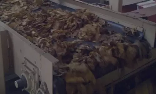 conveyor belt untuk kebutuhan produksi